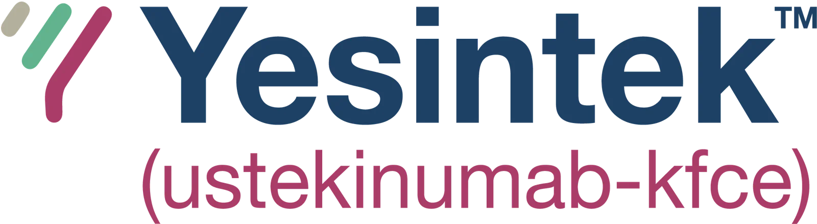 Yesintek Logo